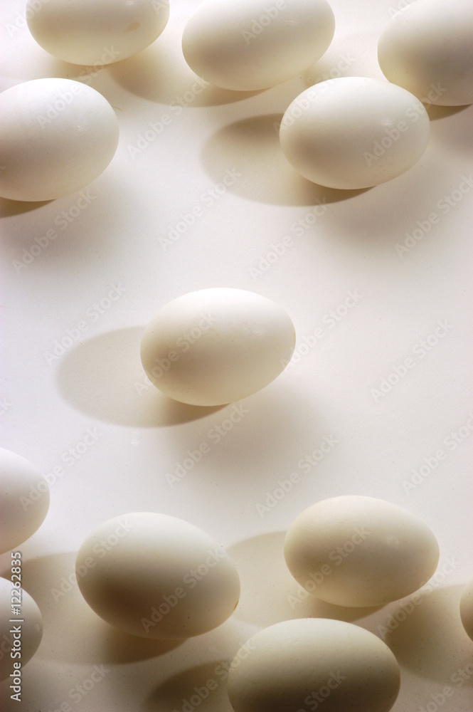 Sfondo di uova