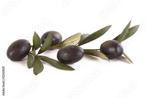 olive on branch