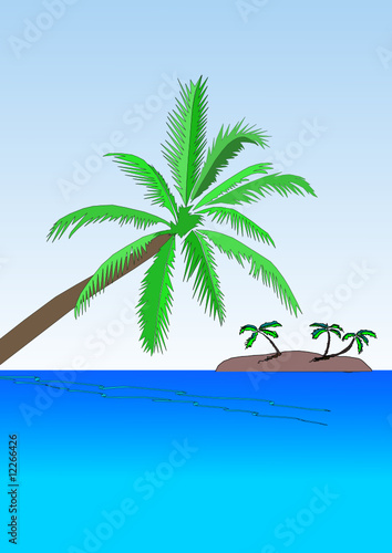 palmier et ile a l'horizon