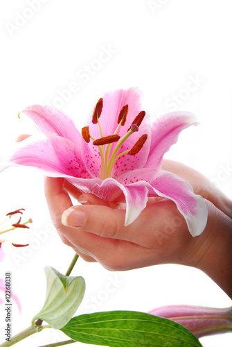 Fleur de lys dans une main