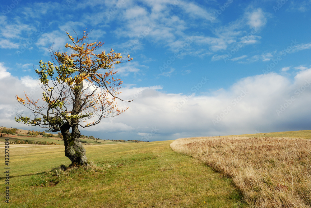 Fototapeta premium Herbstlandschaft