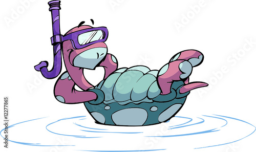 swimming turtle