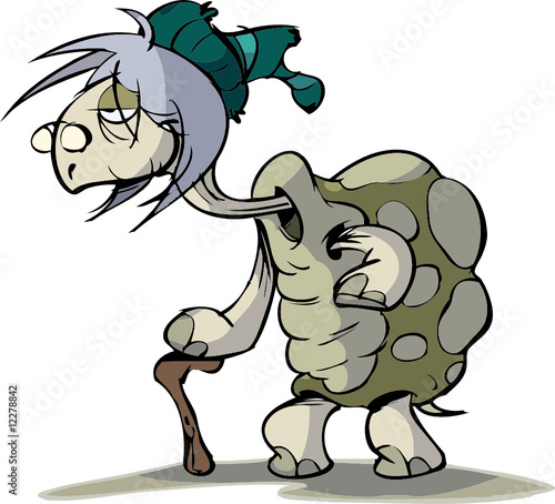 grandma turtle