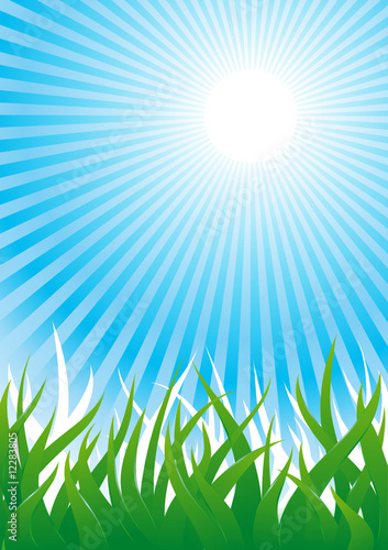 Vector background with grass and sun beams in the sky