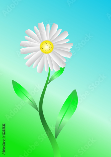 blume illustration