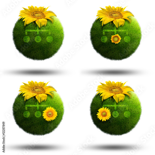 Fototapeta Naklejka Na Ścianę i Meble -  Grass planets illustrating computer network made with sunflowers