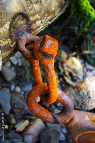 Rouille