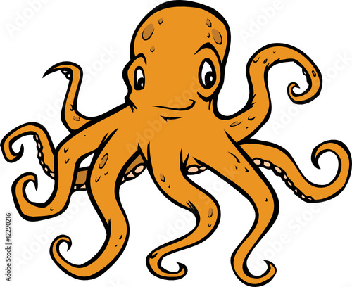 octopus