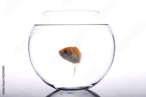 Foto aquarium