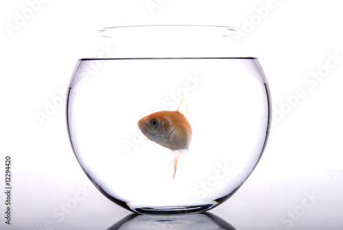 Foto aquarium