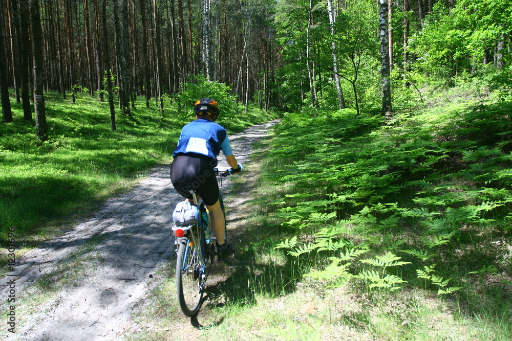 Cyclist Cyclist