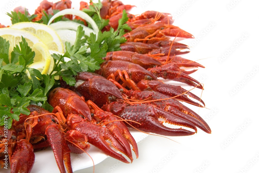Fresh seafood with herb and lemon on a plate Fresh seafood with herb and lemon on a plate
