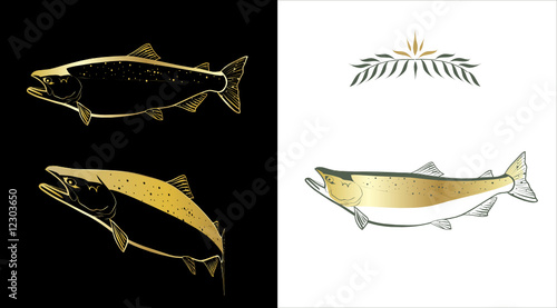 Salmon