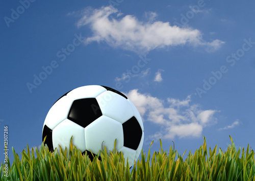 soccer-ball on a grass field