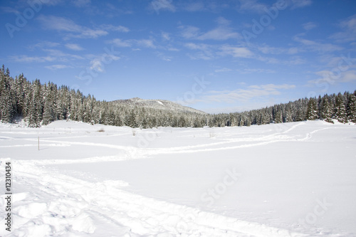 Winter landscape © morchella