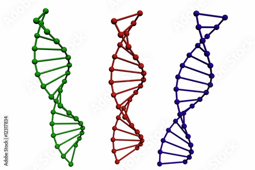 3D model of DNA structure