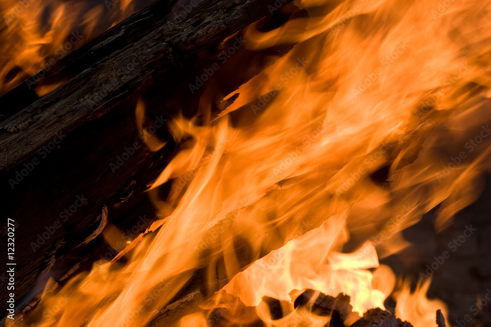 Fototapeta premium campfire