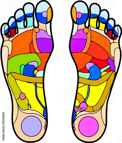 Pied Reflexologie 1