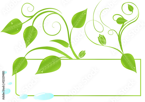 feuilles printanières