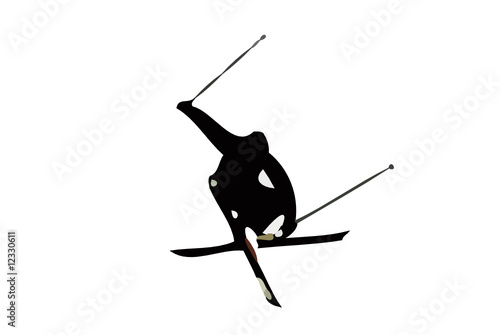 skier