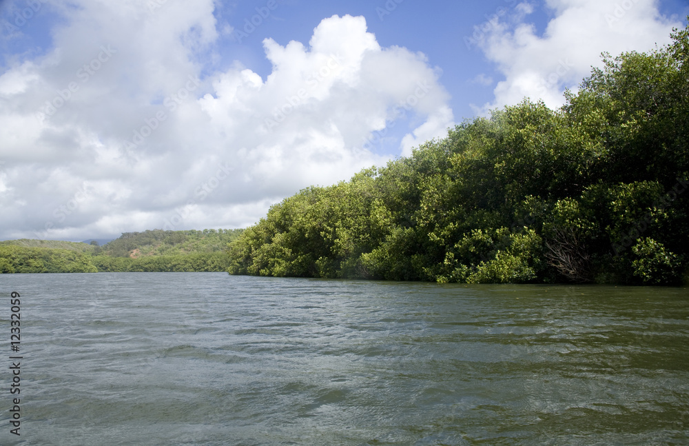 Fototapeta premium Hawaiian River 1026
