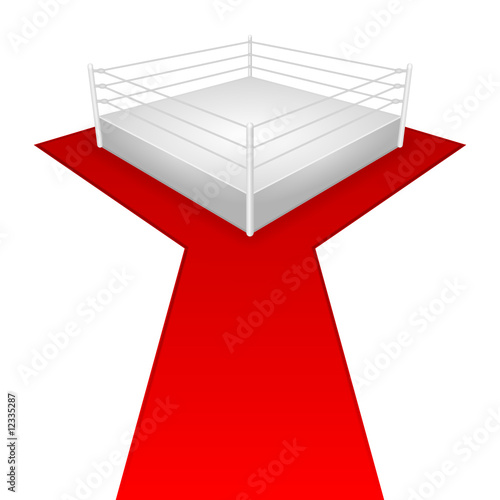 wrestling-ring (weisser hintergrund)
