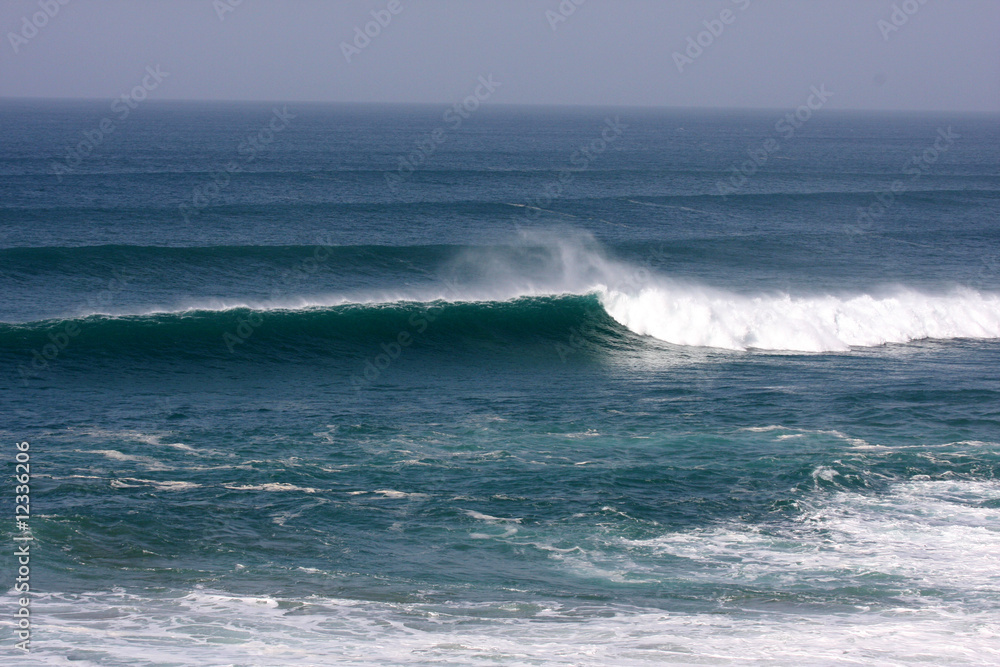 Wave Wave