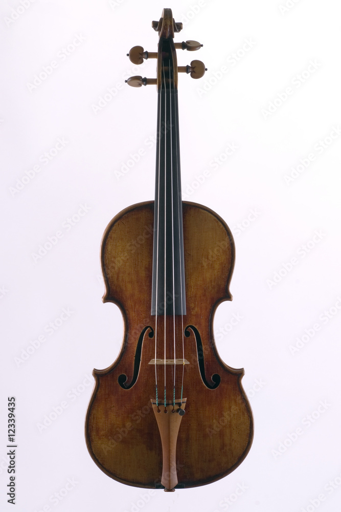Obraz premium skrzypce