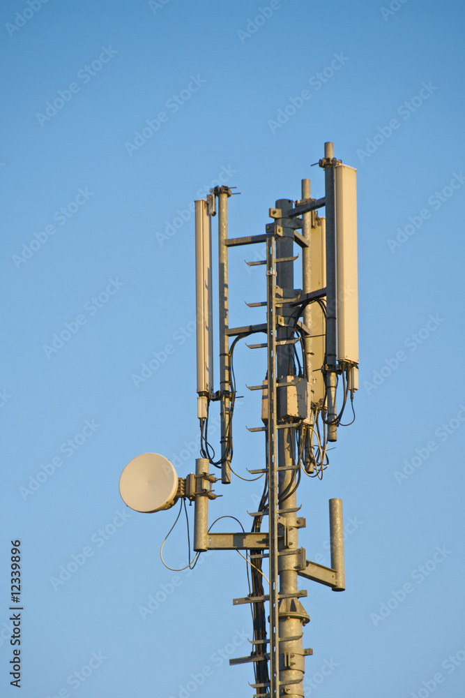 Ponte radio per telefoni cellulari