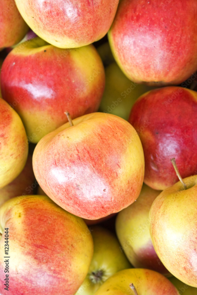 fresh tasty apples fresh tasty apples