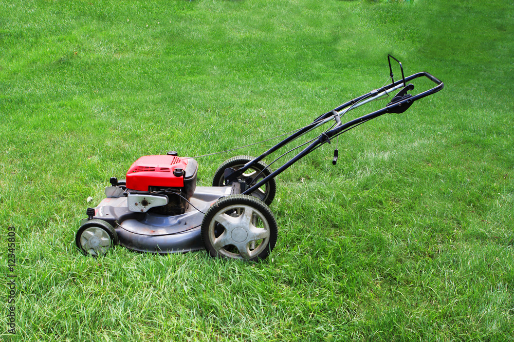 Fototapeta premium Lawnmower