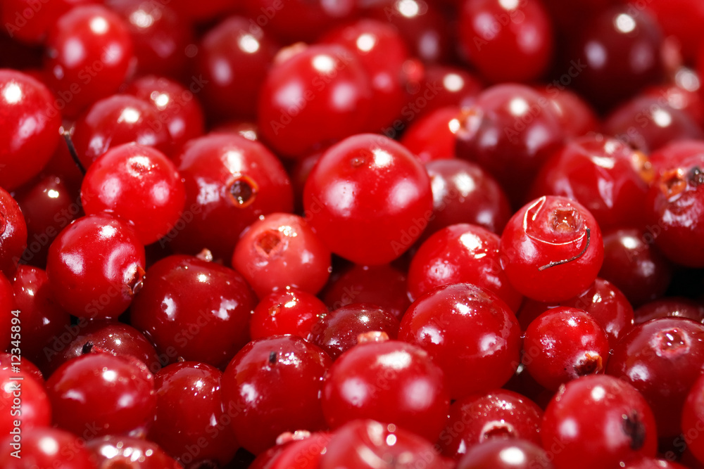 cranberries cranberries