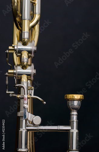 Obraz na płótnie trombone w salonie