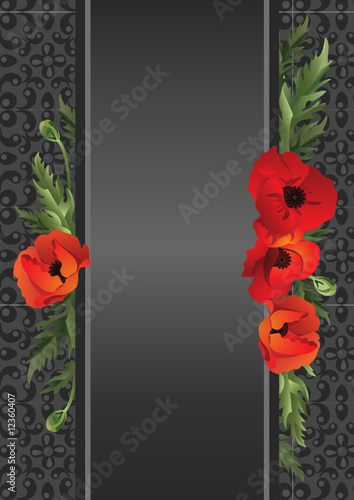 ribbon gray poppy