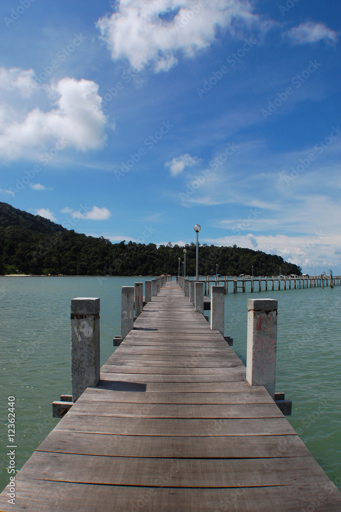 Obraz premium Long Footbridge