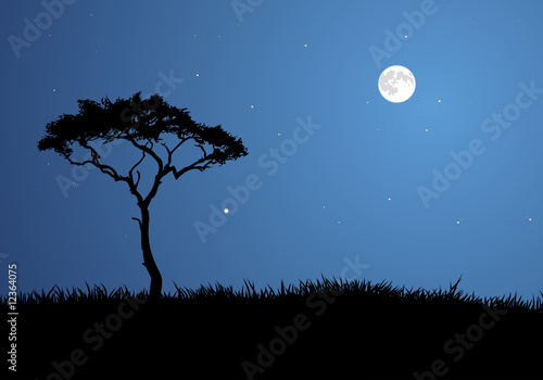 Moonlit Savannah