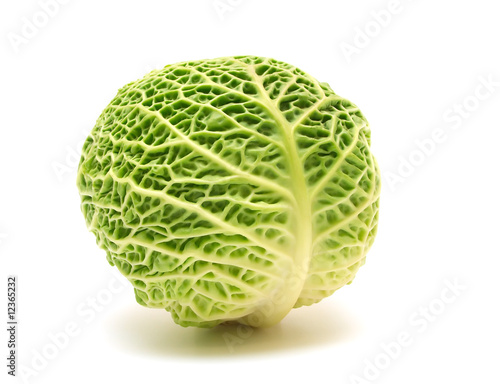 head of savoy cabbage