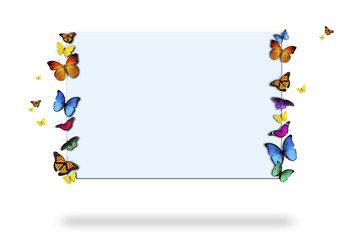 butterflies holding sign