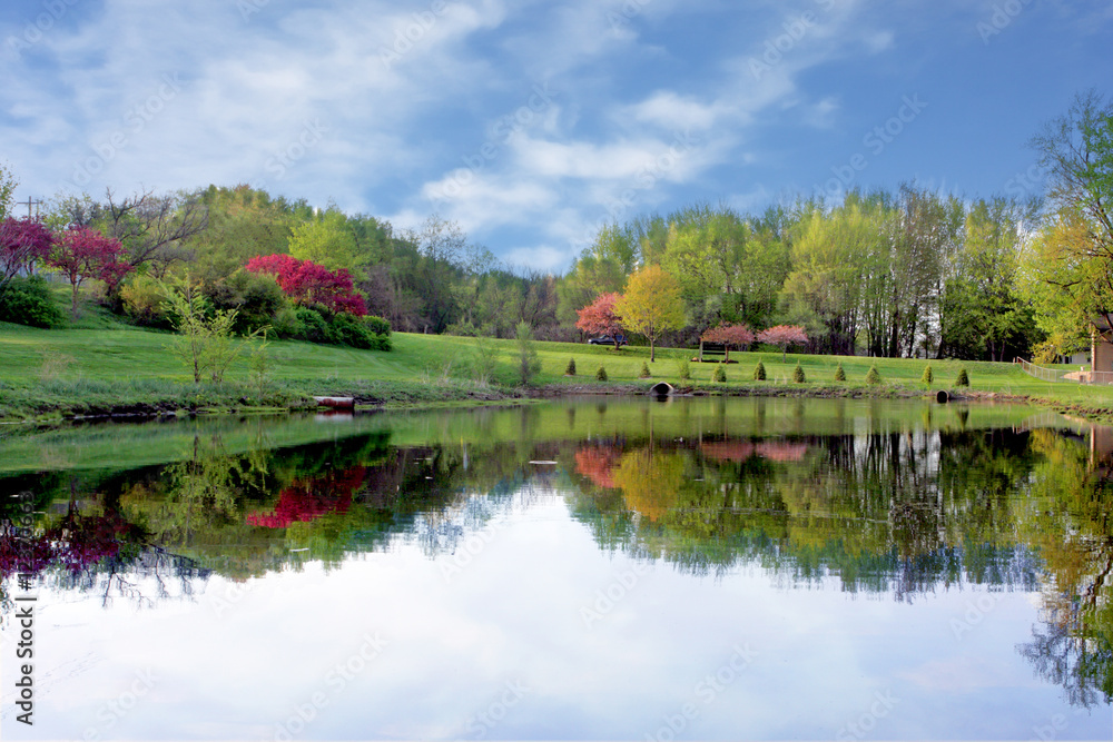 Fototapeta premium Park Pond