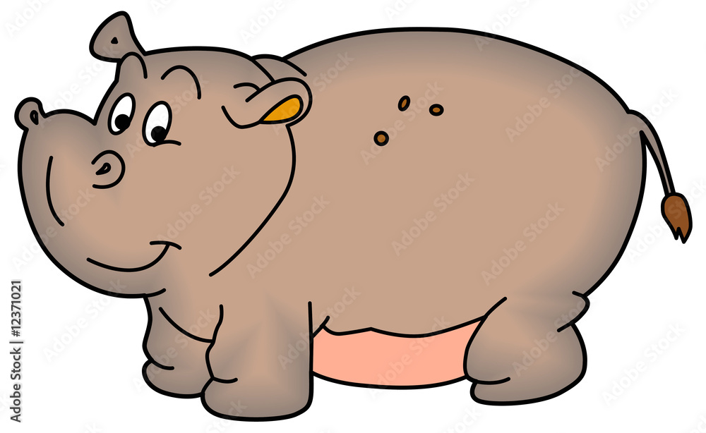 hippopotamus hippopotamus