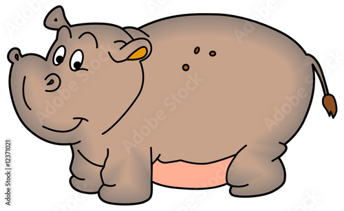 hippopotamus © toonbilge