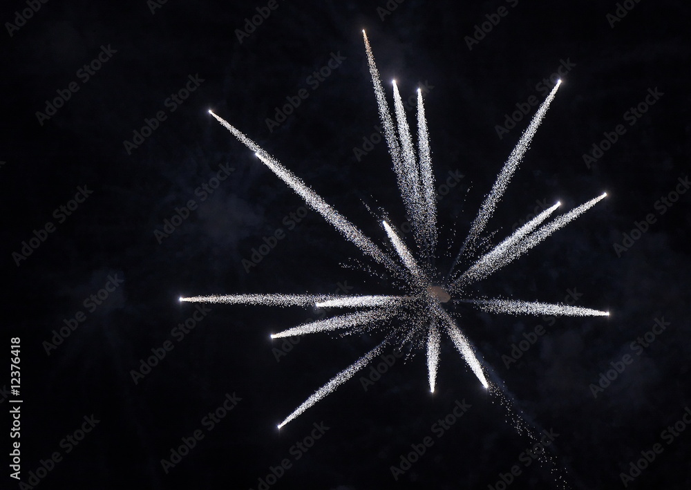 Fototapeta premium Feu d'artifice