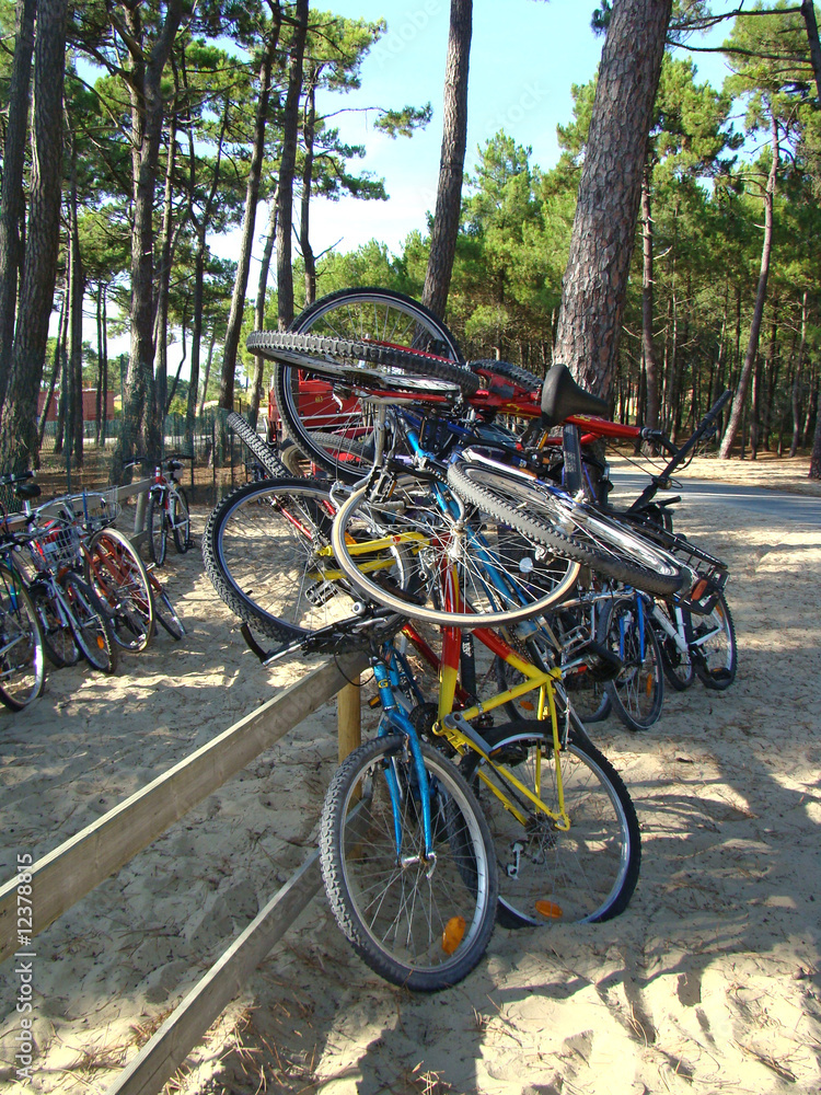Fototapeta premium Vélos-04840