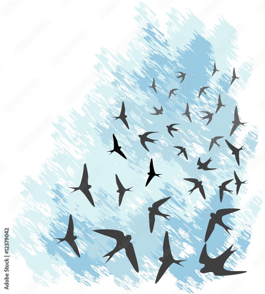 Obraz Vector illustration, blue sky with flying swallows