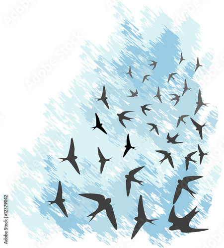 Vector illustration, blue sky with flying swallows