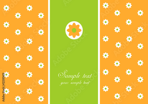 greeting card with white daisy