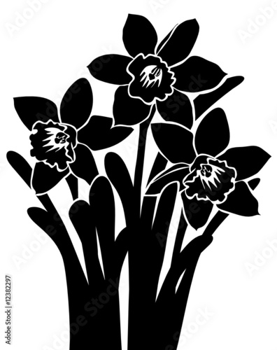 narcissus walltatoo