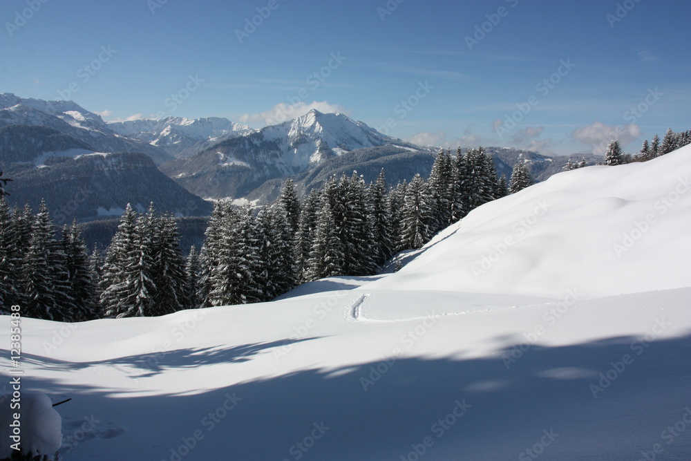 Fototapeta premium Spuren im Schnee