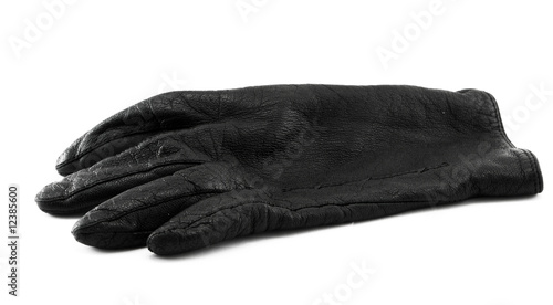 the leather glove © Zbyszek Nowak