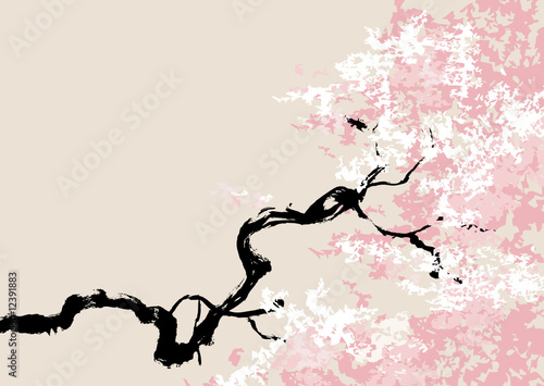 cherry blossom